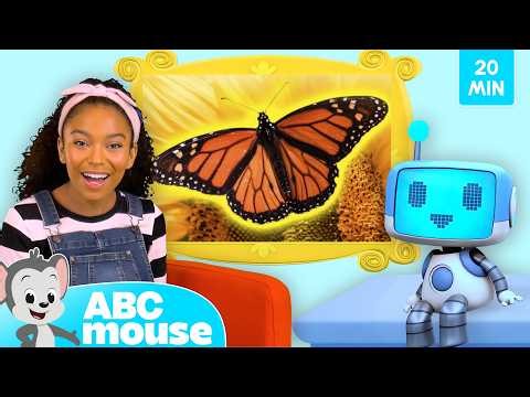 Amazing Animals 🐘🐻🦋 | ABCmouse Read Aloud Storybook for Kids | 20-Minute Compilation