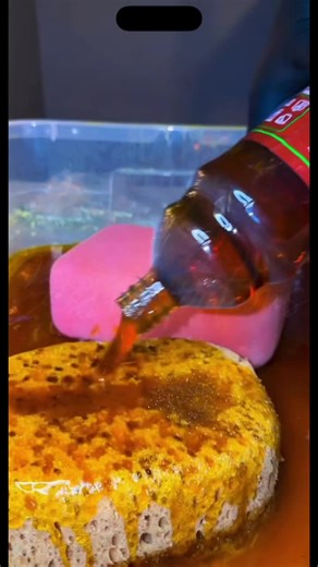 sponge bucket 😍😍 pine 🌲@pineslutt #asmr #cleaning #spongesqueezes #fyp #🔥