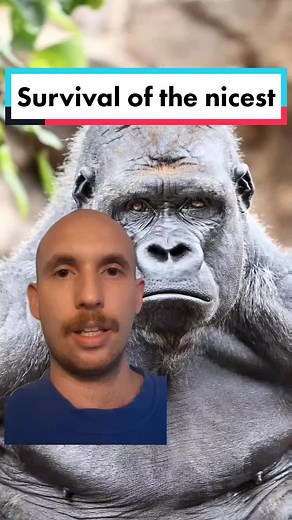 Unter Evolutionstheorie (früher auch Evolutionslehre genannt) versteht man die wissenschaftliche und in sich stimmige Beschreibung der Entstehung und Veränderung biologischer Einheiten, speziell der Arten, als Ergebnis der organismischen Evolution, d. h. eines Entwicklungsprozesses im Laufe der Erdgeschichte, der mit der Entstehung des Lebens einsetzte und weiterhin andauert. Evolutionstheorien sind naturgemäß jeweils ein Produkt der Zeit ihrer Entstehung und spiegeln die jeweiligen Erkenntnisse