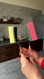 Sponge Tricks | Science, Tech and Universe