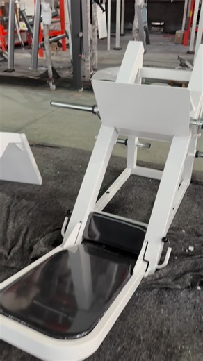 Lily liu on Instagram: "Cybex leg press #gym #factory #fitness #cybex #strengthfitnessequipment"