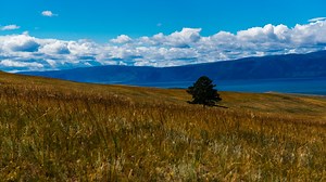 Sibérie: le jeûne thérapeutique au lac Baïkal, recette russe scientifiquement prouvée - RTBF Actus