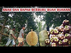Beginilah Suami Dan Anak anak Saya Berburu segala Jenis Buah Buahan