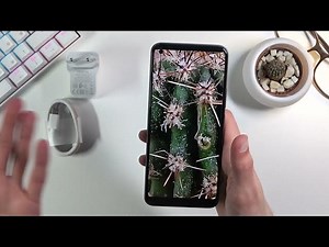 Realme 8 Unboxing & Overview