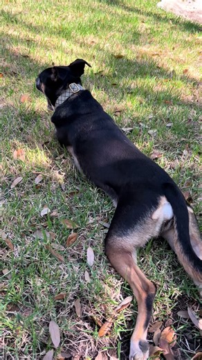 stacypaulsondesign (@stacypaulsondesign)’s videos with Take a Break - Youssef Zad English