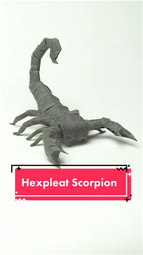 Boice Wong on TikTok