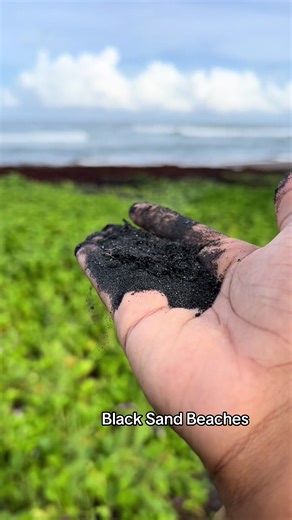 Fun fact Dominica has nine active volcanoes which is why we are blessed with •black sand beaches •sulphur springs •second largest boiling lake in the world