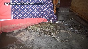 17K views · 123 reactions | One of our chasers interviewed an #OakIsland , #NorthCarolina local whose house was severely damaged by #Isaias. He is in good spirits, but let this be a reminder to take #hurricanes seriously no matter what category. We hope everyone affected is staying safe! | WeatherNation | Facebook