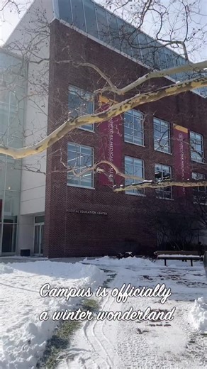 New York Medical College on Instagram: "NYMC’s first snow of the season is here ❄️"
