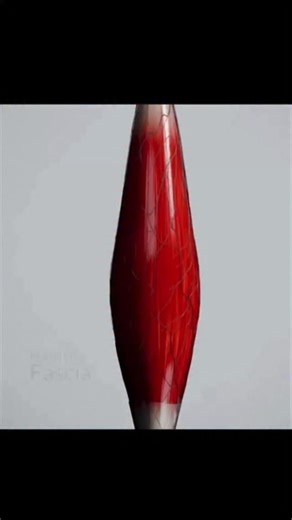 5K views · 101 reactions | Comment “FASCIA” to get my free manual on...