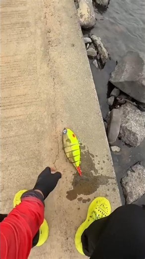 Catching Fish with the BIGGEST Lure Ever?!