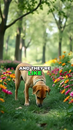 Dog Tracking: How Scent-Specific Training Works!