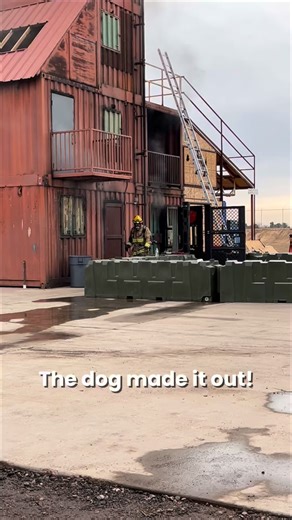 Firefighter training at its finest! 🔥 Rescue Retriever the sm*ke detect*r for pet rescue being put to the test. Rescue Retriever is Instantly activated in sm*ke. When activated it’s silent powerful strobing light can direct firefighters to your pets location. The included reflective pet alert decal for your front door or window tells them your pet is in the home. The Rescue Retriever can direct them to your pets location. Getting them rescued-faster. Place it directly on your dog’s crate or any