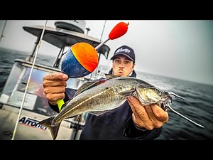 Mit XXL-KÖDERFISCH und Riesen-Pose auf Tiefsee MONSTER!