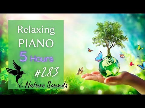 Healing Forest: Relaxing Piano Music♫ with Nature sounds, Massage, Yoga, Sleep, Focus, Study