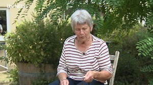 173K views · 5.5K reactions | A family has been reunited with their stolen dog after three years. Archie is safely home in Bridgwater, Somerset, after charity Beauty's Legacy was able to locate him. Watch the full report on ITVX: https://tinyurl.com/24nc982f | ITV News West Country | Facebook