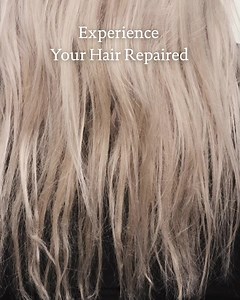 3.8K views | Hair damage undone after just one use. It's that easy with Triple Bond Complex. | Living Proof | Facebook