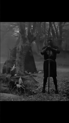 Tis but a scratch #montypythonandtheholygrail #montypython