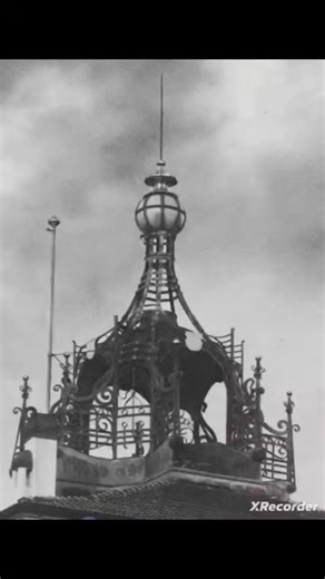 free_energy_generator no TikTok