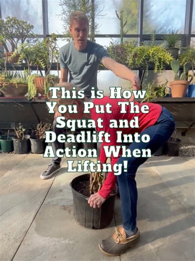 Remember the squat and the deadlift? This is how you put them into...