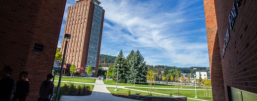 Viewing Your E-Bill  | Student Accounts | Binghamton University