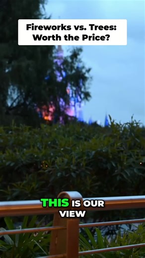 Paid to watch fireworks, not trees! Unlimited booze & snacks… but is it worth it? #DisneyWorld #Fireworks #DessertParty #TravelTips