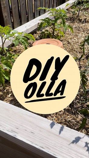 168K views · 34K reactions | One year ago today, I showed you all how to build your own DIY ollas. As the growing season begins here in the US, it’s only fitting we revisit this incredibly simple way to keep your garden watered. One year later, the olla is still holding up strong! #garden #gardening #gardendiy #olla #ollas #gardentip #gardenhack #diy #gardendesign #watering | My Garden Burner | Facebook