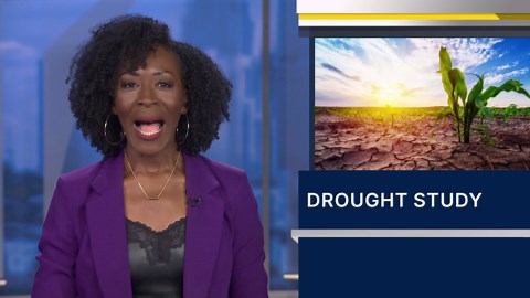 Data sharing key to effective drought management, NOAA report finds