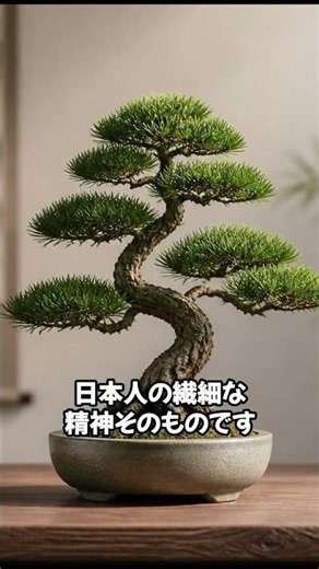 「不完全＝美しい」と考える、日本の不思議な文化『侘び寂び』