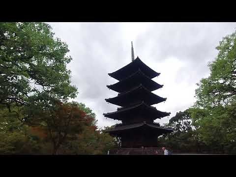 Kyoto Walk - Toji Temple (東寺) - 4K
