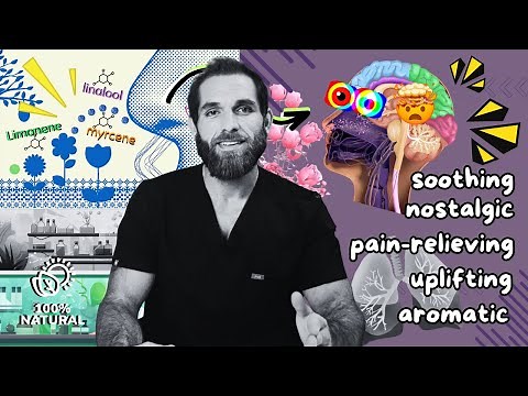 Terpenes and Cannabis: An Overview!