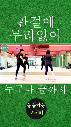 Step Box Diet Exercise Method | Follow along in just 1 minute | Step Box Exercise