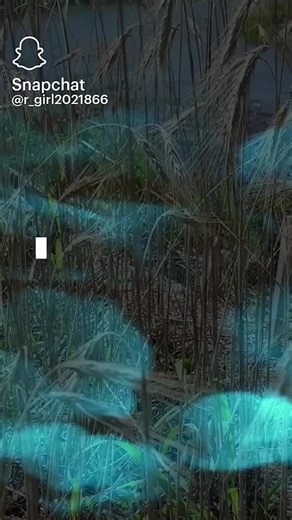 rose x (@rose.x6653)’s videos with original sound - rose x