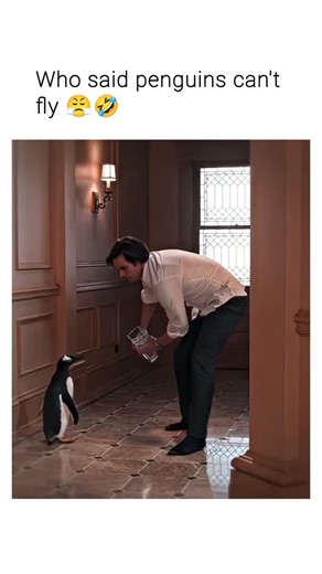 memes and movies account on Instagram: "This movie was pure fun ❤️ 🍿 Mr. Popper’s Penguins (2011) is a family comedy about Tom Popper, a successful but emotionally distant real estate businessman in New York City. Focused on closing a major deal, Tom neglects his personal life, including his strained relationship with his ex-wife and children. His life takes an unexpected turn when he receives a mysterious package from his late explorer father—containing a live penguin. Soon after, more penguin