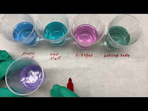 Butterfly pea flower tea as an acid base indicator