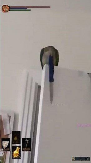 Your time has come hooman! #bossfight #darksoulsboss #darksoulsmeme #funny #memes #animalmemes