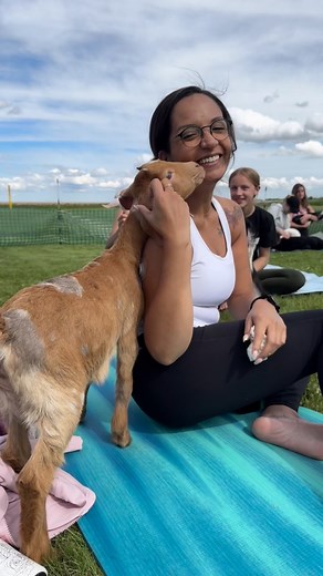 Combining movement, fresh air, and the joy of baby goats 🐐 — these yoga events are so healing for our mind and body! What an awesome group of yogis on this beautiful day ☀️ Save the date for our next baby yoga class June 18 6pm at @winealotvineyardsllc Join the fun 🤸 and enjoy the feeling of lighter, happier, and a whole lot more grounded with @vibrantlife_wellbeing baby goat yoga! #goatyoga | VibrantLife Wellbeing