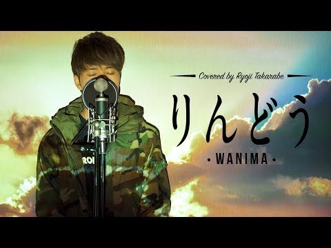【フル歌詞付き】"りんどう" WANIMA / covered by 財部亮治