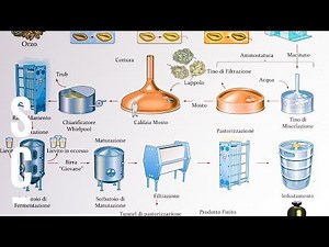 The ingredients and production of beer 🍺 | ASSOBIRRA