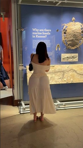 Night at the museum 🤍