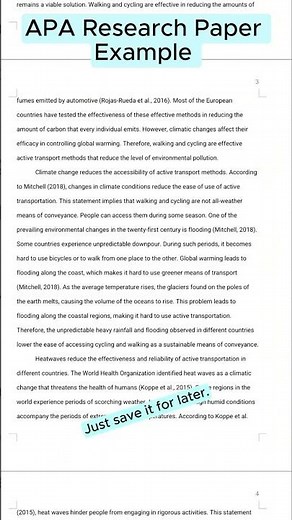 APA Research Paper Example