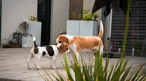 Neue Freundschaft?: Kara und Lucy lernen sich kennen