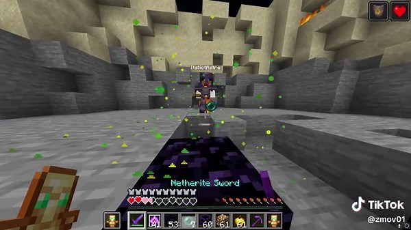 Totem Usage Guide for CPVP in Indonesia