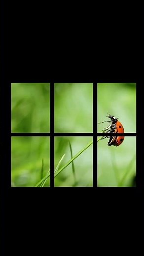 Print Large Images Across Multiple A4 Pages at 100% Size | Windows Paint Tutorial #shorts