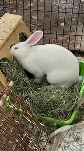 6.5K views · 906 reactions | Running a bit behind schedule, I really...