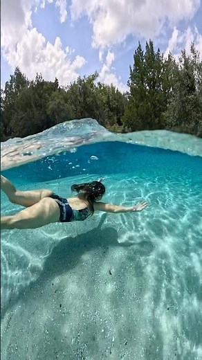 SILVER GLEN SPRINGS ~ Ocala ~ Florida