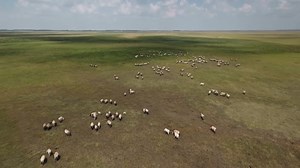 8.9K views · 648 reactions | Unser TV-Tipp für heute im WDR Fernsehen: „Theos Tierwelt“ mit unserem Direktor zeigt wilde Tiere, die nun wieder in die Natur gebracht werden, Marder zum Beispiel. Los geht es um ca. 21 Uhr. Bestes Programm für Tierliebhaber, die von der Couch aus in die weite Welt blicken wollen! Viel Spaß #StayAtHome Längengrad Filmproduktion | Kölner Zoo | Facebook