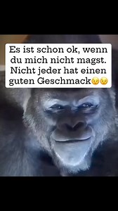 Good Morning 🌸💕 | Pamela Schroeder