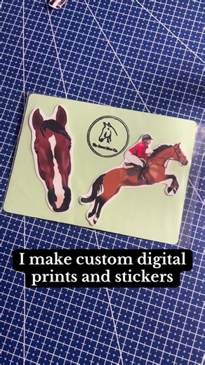 The Smart Mare Co. on TikTok