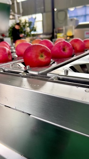 Máy gọt vỏ và lấy lõi trái cây